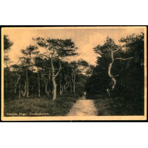 Tisvilde Hegn - Troldeskoven - EWneret 349 - Brugt