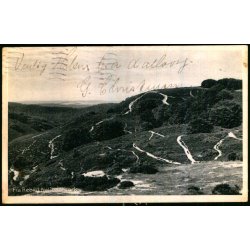 Fra Rebild Nationalpark - Stender 266 - Brugt