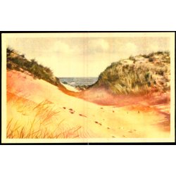 Gl. Skagen - Klitter - Nielsens Bogh. 78027 - Ubrugt