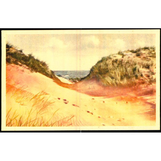 Gl. Skagen - Klitter - Nielsens Bogh. 78027 - Ubrugt