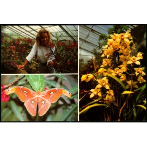 Jesperhus Blomsterpark - 9004/92 - Ubrugt