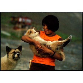 Illorsuit - Grnland - Grnlandske Brn u/n - Ubrugt