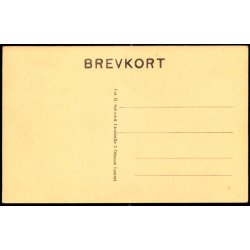 Odense - Det nye Domhus - H. Schmidt u/n - Ubrugt