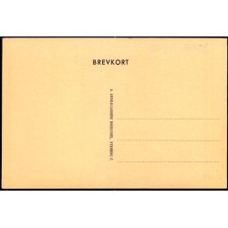 Nyk�bing F. - Raadhusstr�de - A. Arnold-Larsen u/n - Ubrugt