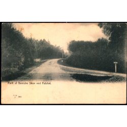 Parti af Damsbo Skov ved Falsled - FCAF 961 - Ubrugt