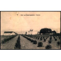 Parti ved Havebrugsskolen i Aarslev - Frederik Torn� u/n - Brugt