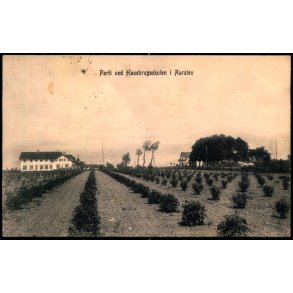 Parti ved Havebrugsskolen i Aarslev - Frederik Torn� u/n - Brugt