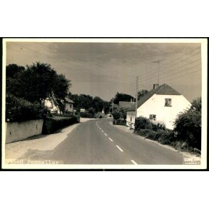 Femm�ller - Fotokort Stejerne Foto 33508 - Brugt