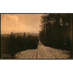 Fr�bakken i Tisvilde Hegn - S. Nielsen 44710 - Ubrugt