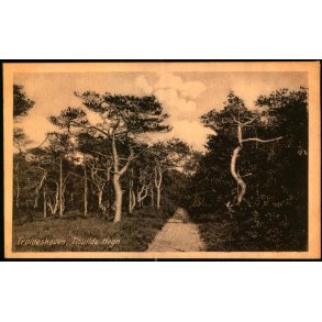 Troldeskoven - Tisvilde Hegn - K. Poulsens Bogh. u/n - Ubrugt