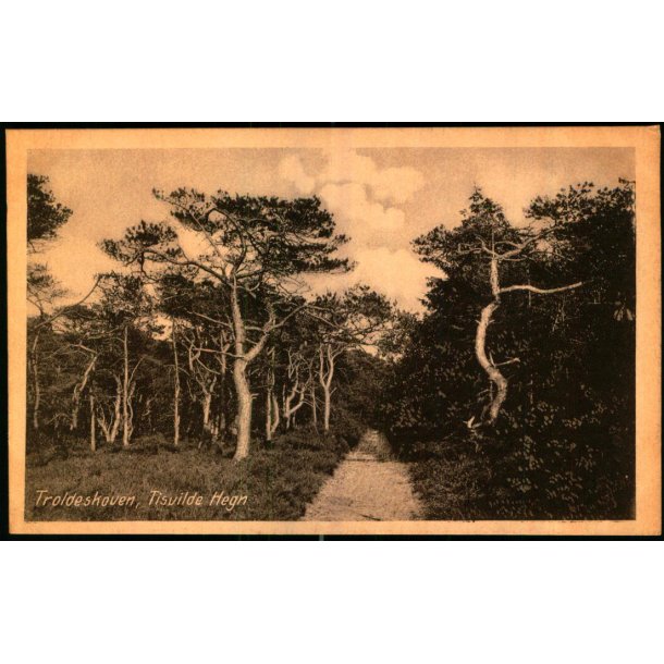Troldeskoven - Tisvilde Hegn - K. Poulsens Bogh. u/n - Ubrugt