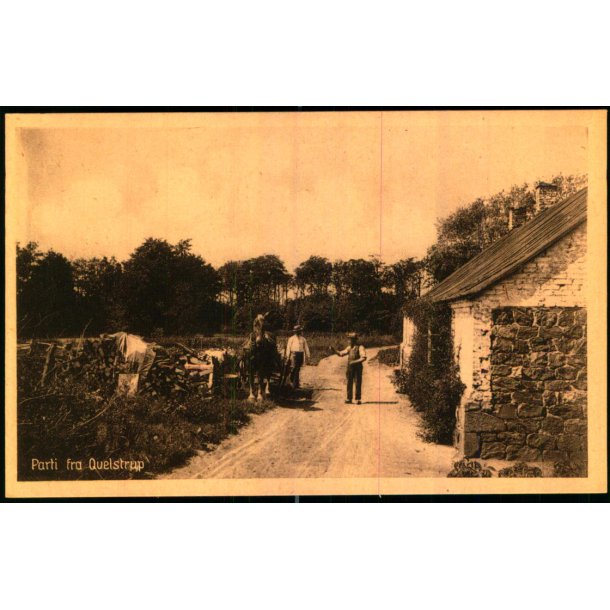 Parti fra Qvelstrup - Dahl 56377 - Ubrugt