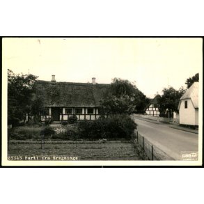 Parti fra Bregninge - Stjerne Foto 25915 - Brugt