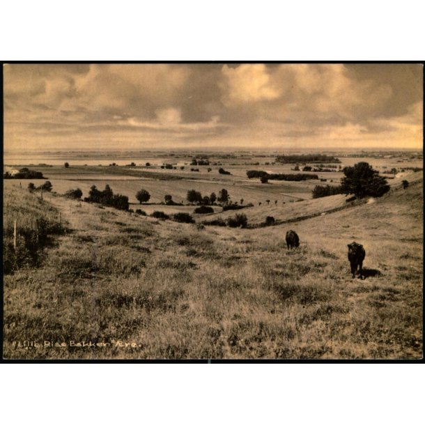 "Lille Rise Bakken" - �r� - Georg E. Jensens Eftf. 94321 - Ubrugt