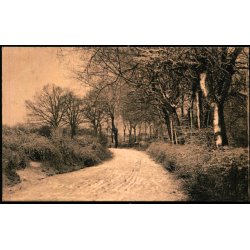 Aarhus - Kartonkort - 23 - 12 - 04 - Ubrugt