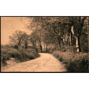 Aarhus - Kartonkort - 23 - 12 - 04 - Ubrugt