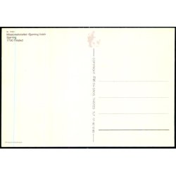 Missionshotellet - Sj�rring Vold - F.M. 70151 - Ubrugt