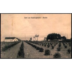 Parti ved Havebrugsskolen i Aarslev - Frederik Torn� u/n - Brugt