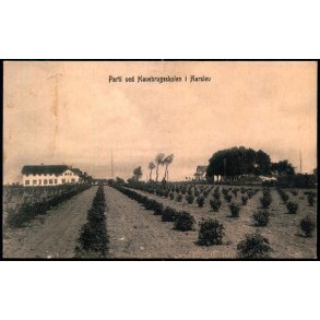 Parti ved Havebrugsskolen i Aarslev - Frederik Torn� u/n - Brugt