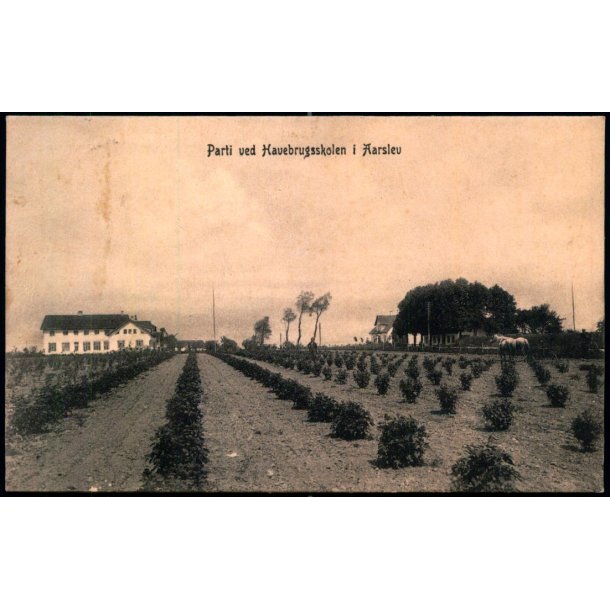 Parti ved Havebrugsskolen i Aarslev - Frederik Torn� u/n - Brugt