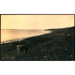 Ebeltoft - Fotokort EDV. Monsrud u/n - Ubrugt