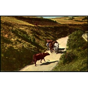 Mols -  Hulvej ved Femm�ller - Rudolf Olsen 348 - Ubrugt