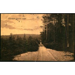 Fr�bakken - Tisvilde Hegn - S. Nielsen 4203 - Brugt