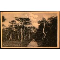Troldeskoven - Tisvilde Hegn - K. Poulsens Bogh. u/n - Brugt