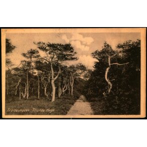 Troldeskoven - Tisvilde Hegn - K. Poulsens Bogh. u/n - Brugt