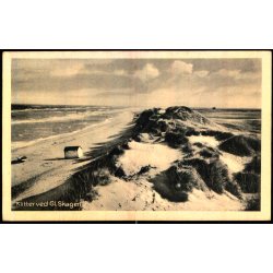 Klitter ved Gl. Skagen - Nielsens Bogh. 62282 - Ubrugt
