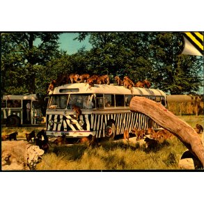 Knuthenborg Safari Park - Top Card KN 5 - Ubrugt