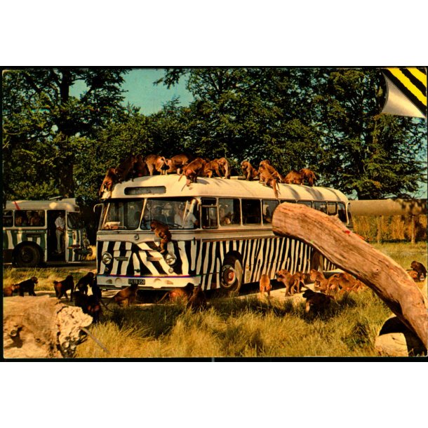 Knuthenborg Safari Park - Top Card KN 5 - Ubrugt