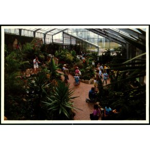 Jesperhus Blomsterpark - 9107/92 - Ubrugt