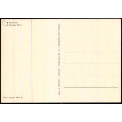 Bornholm - Svaneke Havn - W. Dams Bogh. 6062 - Ubrugt