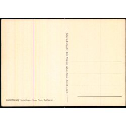 Christians - Indsejling - Store Trn - Sydhavnen - Colbergs Bogh. 8615 - Ubrugt