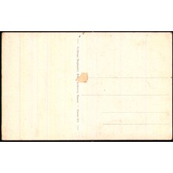 Bornholm - Lvehovederne ved Hammerershus - Colbergs Bogh. 515 - Ubrugt