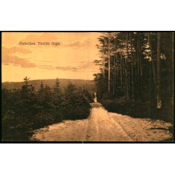 Fr�bakken - Tisvilde Hegn - S. Nielsen 4203 - Ubrugt