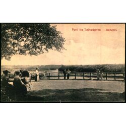 Randers - Parti fra T�jhushaven - J.M.J.  161 - Brugt