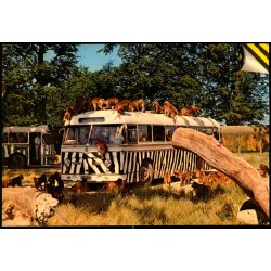 Knuthenborg Safari Park - Top Card KN 5 - Brugt