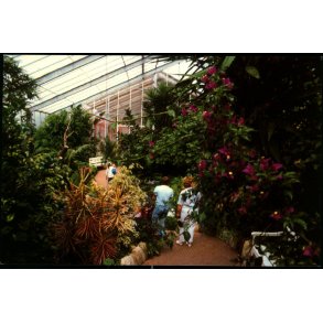 Jesperhus Blomsterpark - 9103 - Ubrugt