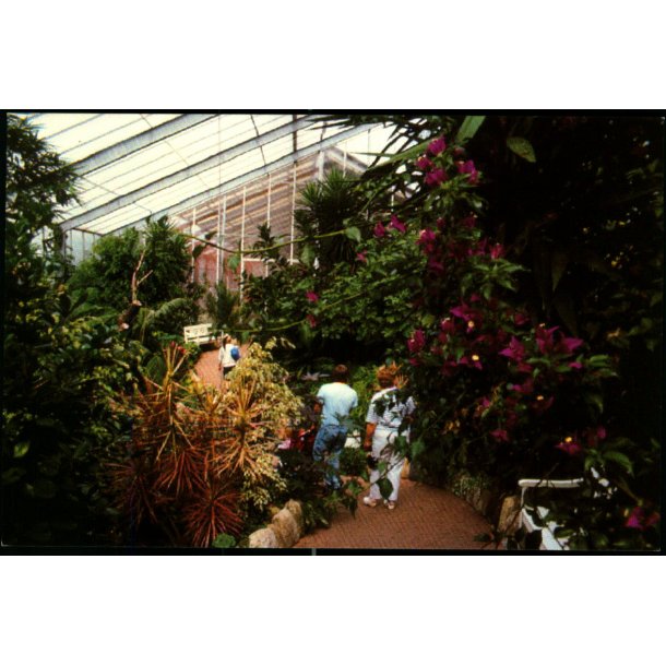 Jesperhus Blomsterpark - 9103 - Ubrugt