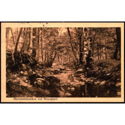 Skovm�lleb�kken ved Moesgaard - Alex Vincent 607 - Brugt