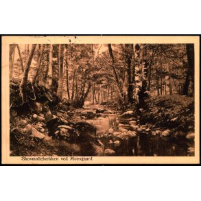 Skovm�lleb�kken ved Moesgaard - Alex Vincent 607 - Brugt