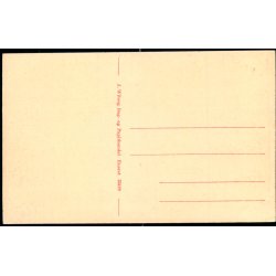 Nysted - Aalholm - J. Wiberg Bogh. 33419 - Ubrugt