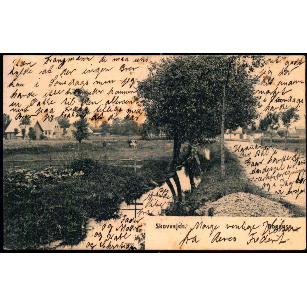 Bogense - Skovvejen - u/n - Brugt