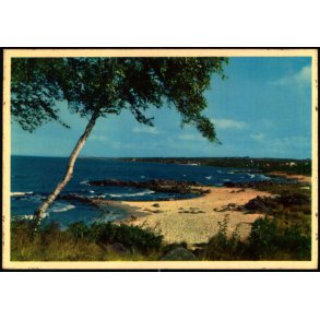 Bornholm - Sandkaas Badestrand - Stender 315 - Ubrugt