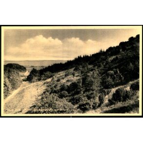 Mols - Udsigt fra Brunh�j - Femm�ller - H. Windel�v 89836 - Ubrugt