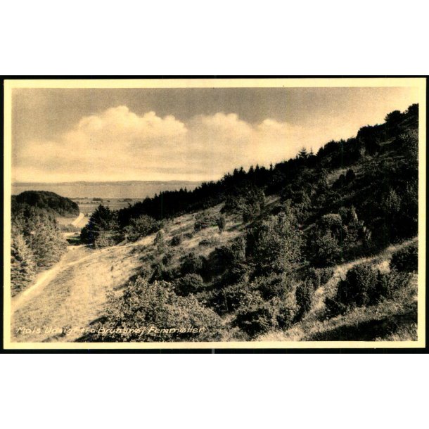 Mols - Udsigt fra Brunh�j - Femm�ller - H. Windel�v 89836 - Ubrugt