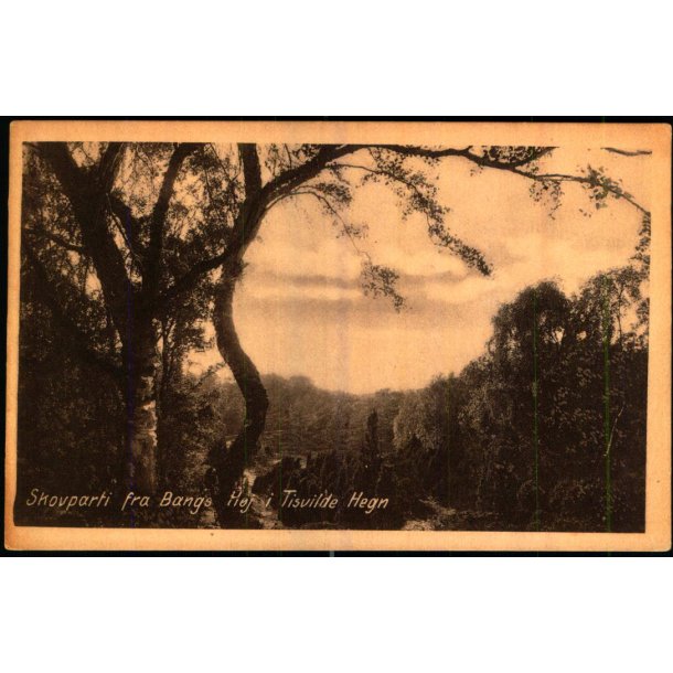 Skovparti fra Bangs H�j i Tisvilde Hegn - K. Poulsen Bogh. u/n - Ubrugt