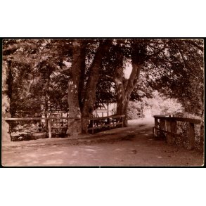  Moesgaard - 19-5-10 - Fotokort u/n